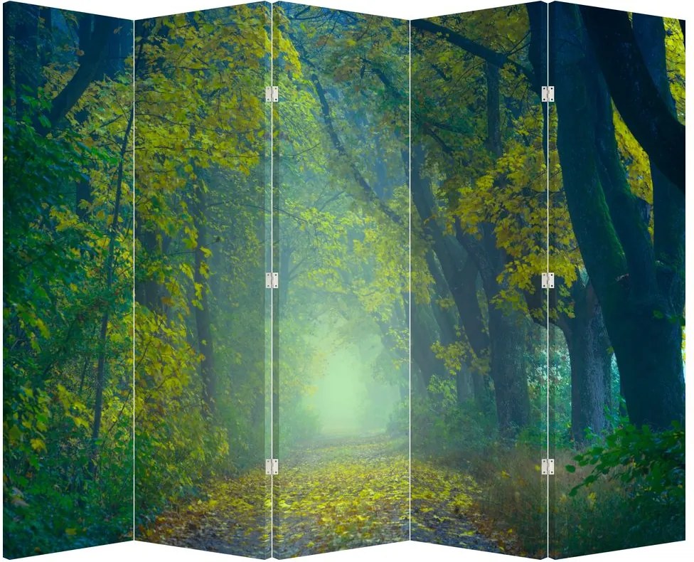 Paraván - Cesta lemovaná stromami (210x170 cm)