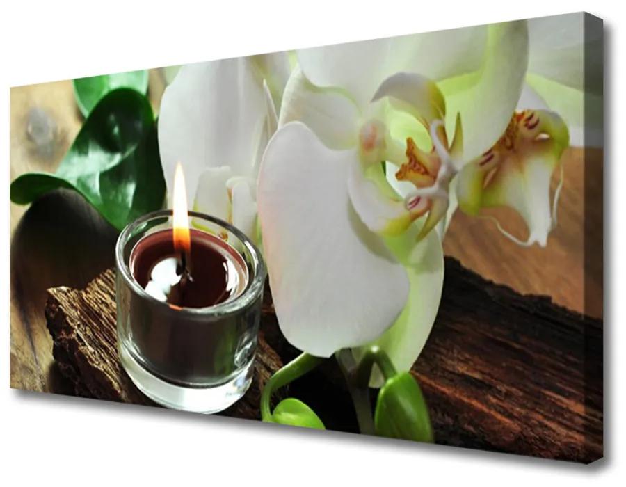 Obraz Canvas Orchidea sviece do kúpeľov 120x60 cm