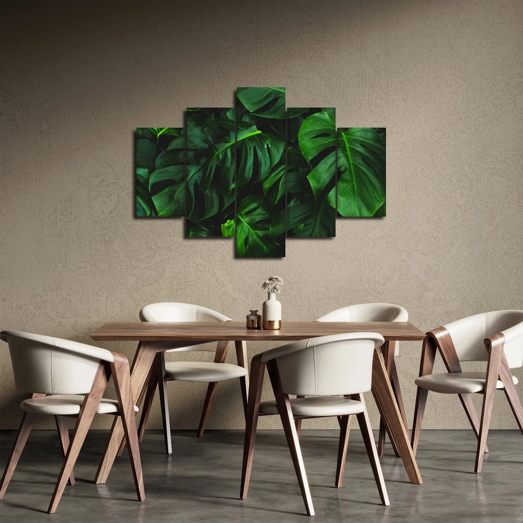 Obraz listov Monstery (150x105 cm)