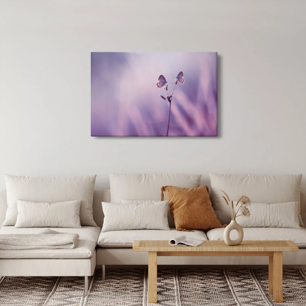 Obraz - Fialové motýliky (90x60 cm)