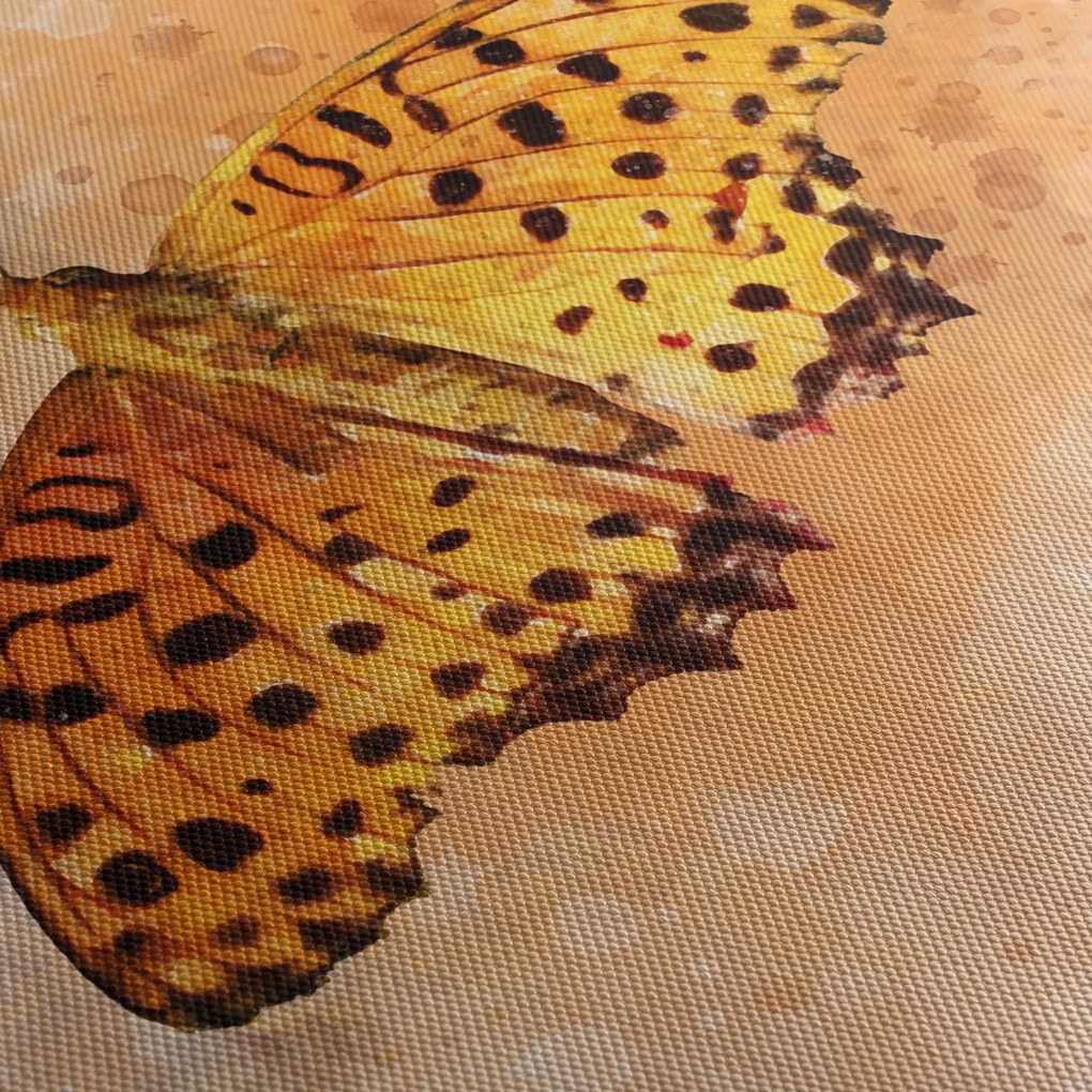 Obraz - Oranžový motýľ, aquarel (150x105 cm)