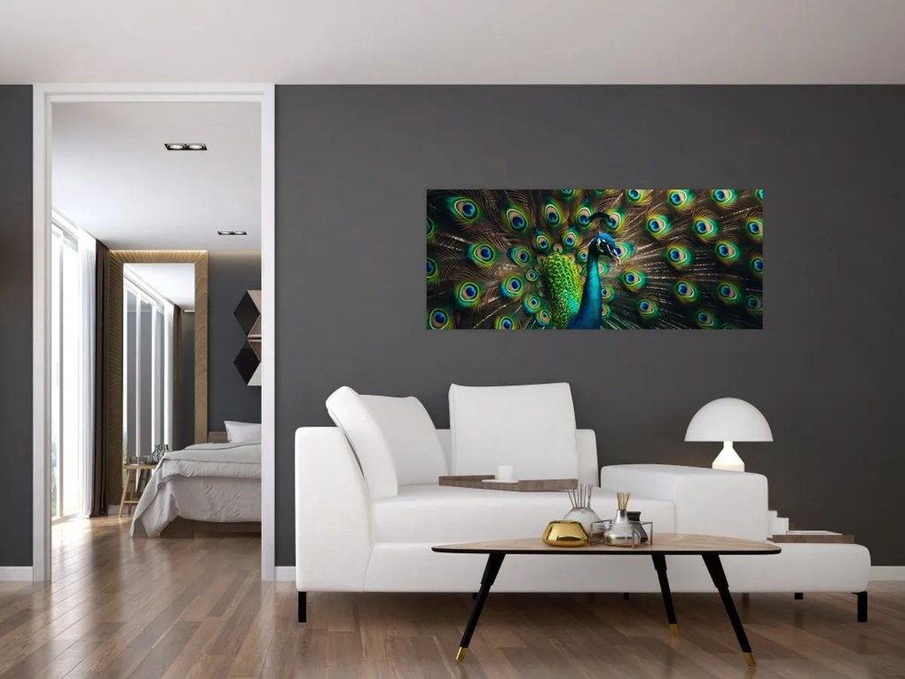 Obraz – Páv (120x50 cm)