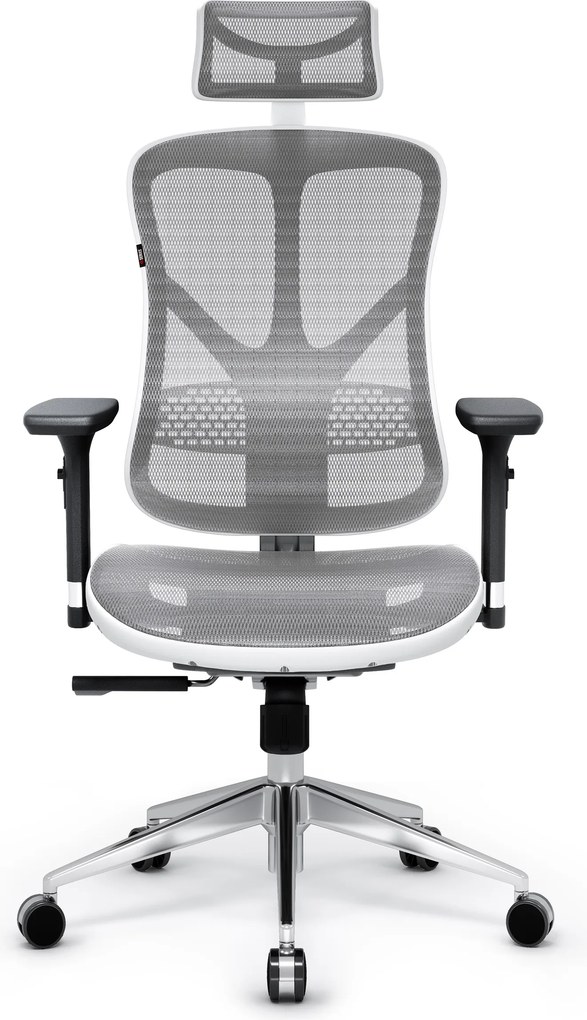 Ergonomická kancelárska stolička zo sieťoviny, biely-sivý: Diablo V-Basic