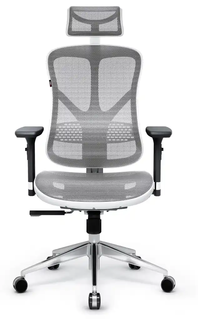 Kancelárska ergonomická stolička DIABLO V-BASIC: bielo-šedá Diablochairs |  BIANO