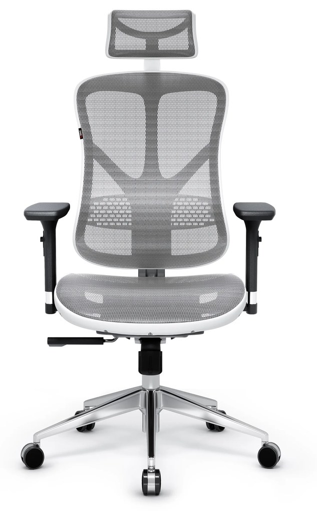 Kancelárska ergonomická stolička Diablo V-Basic, bielo-šedá