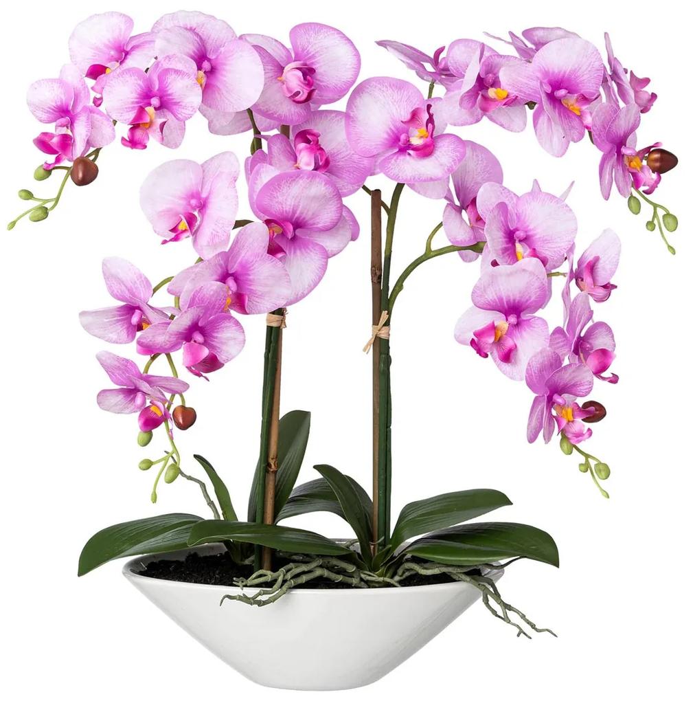 Gasper Orchidea v keramickej miske, 53 cm