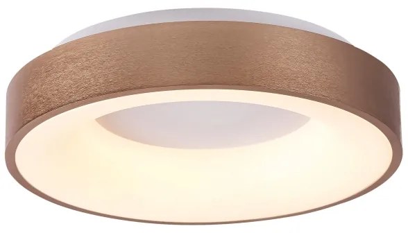 Rabalux 5052 - LED Stropné svietidlo CARMELA LED/30W/230V
