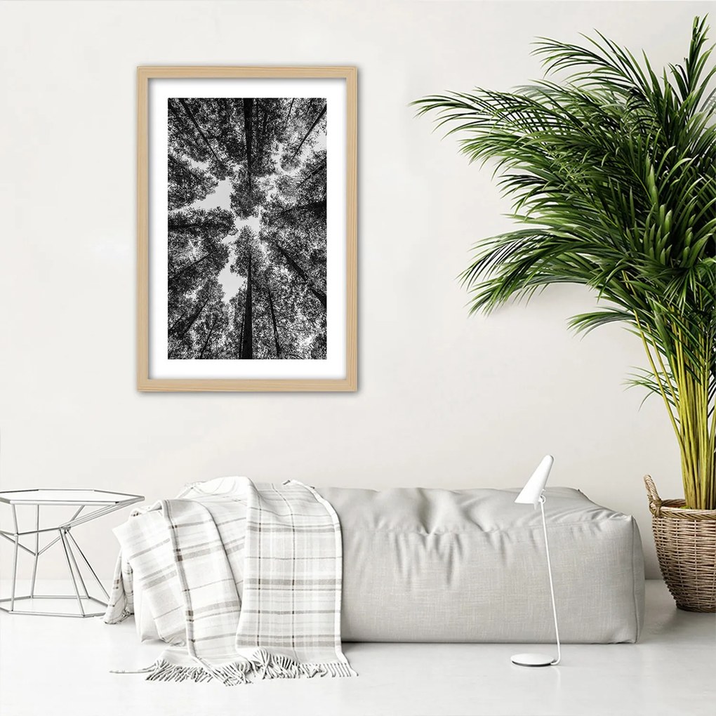 Gario Plagát Koruny stromov Farba rámu: Bez rámu, Rozmery: 40 x 60 cm