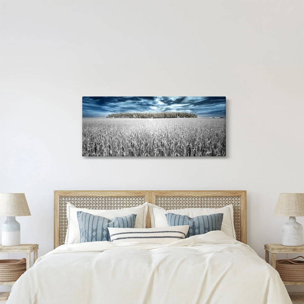 Obraz pole (120x50 cm)