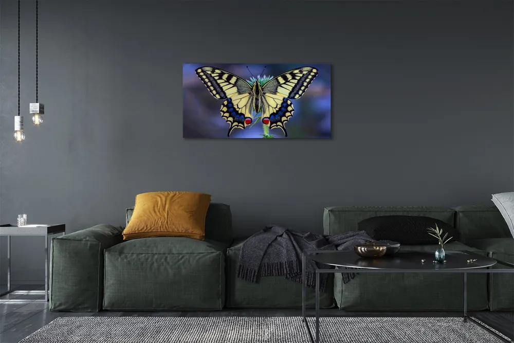 Obraz na plátne Motýľ na kvetine 125x50 cm