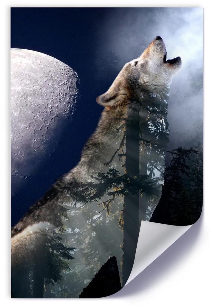 Gario Plagát Vlk vyje na mesiac Farba rámu: Bez rámu, Rozmery: 40 x 60 cm
