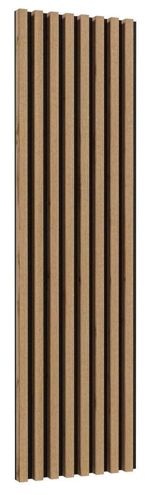 Nástenný panel Celcey Typ 02 (dub wotan + čierna). Akcia -17%. Vlastná spoľahlivá doprava až k Vám domov. 1108320