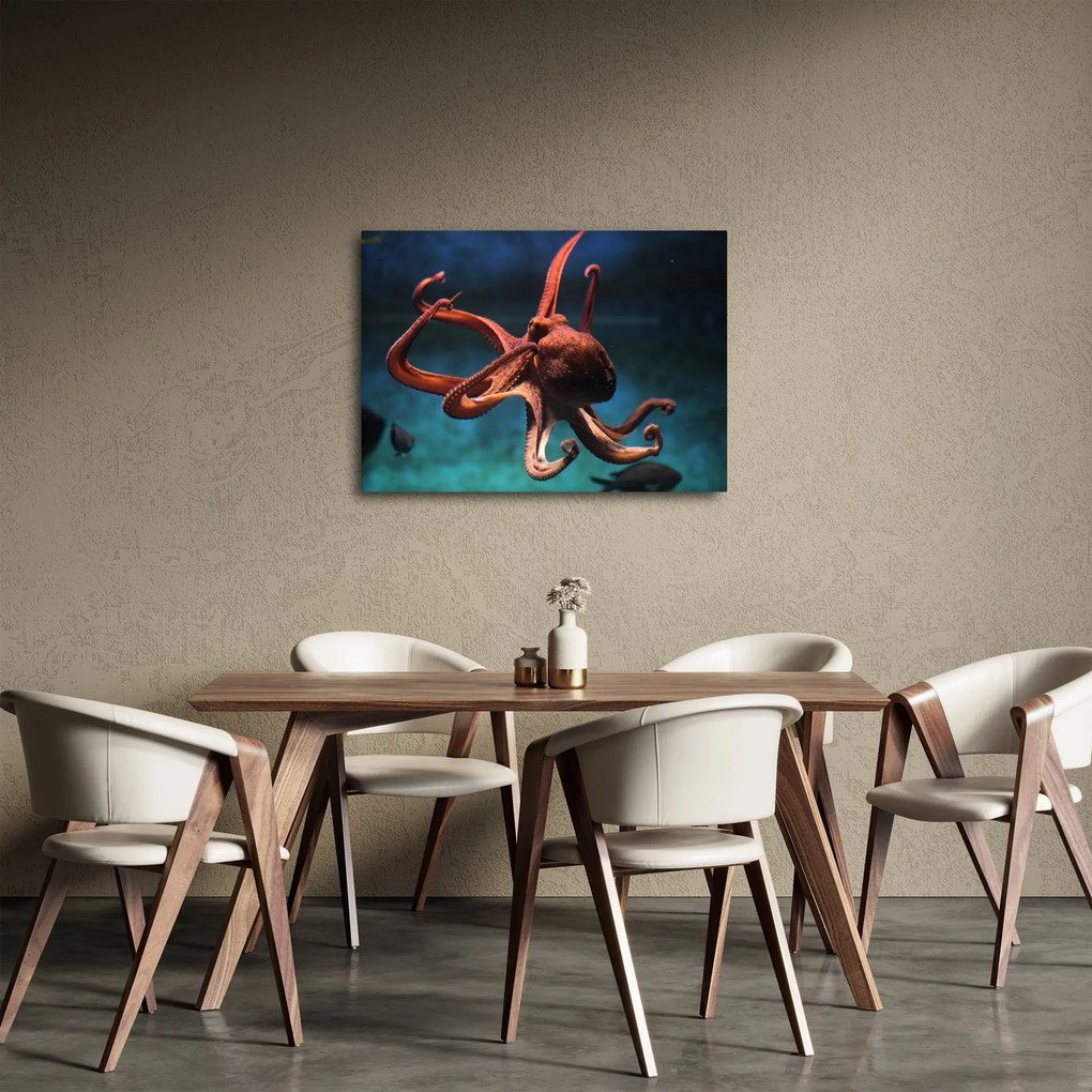 Obraz - Chobotnica (70x50 cm)