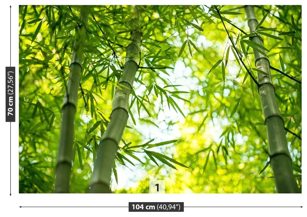 Fototapeta Vliesová Bambusové vetvy 104x70 cm