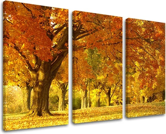 Obraz na stenu STROMY