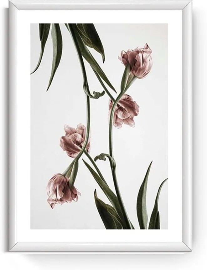 Obraz Piacenza Art Dendrobium, 30 × 20 cm
