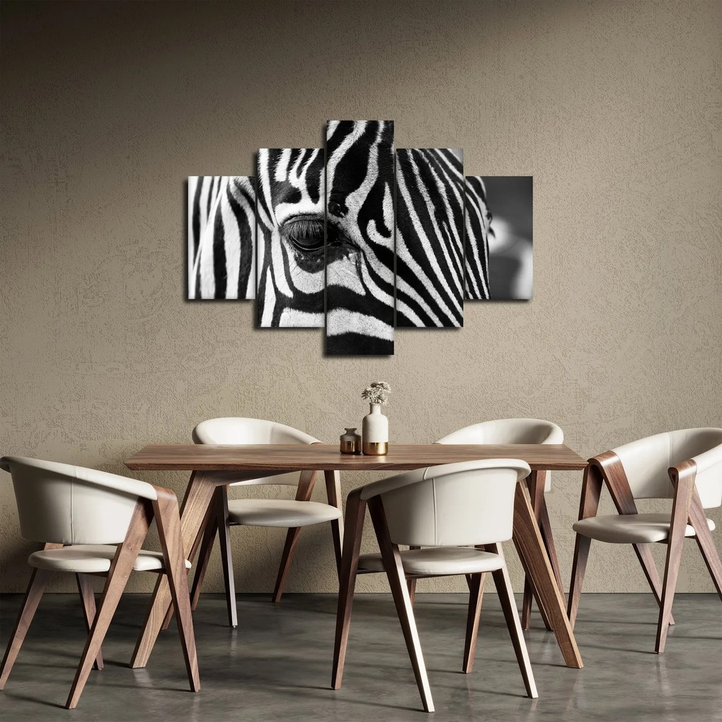 Obraz zebry (150x105 cm)