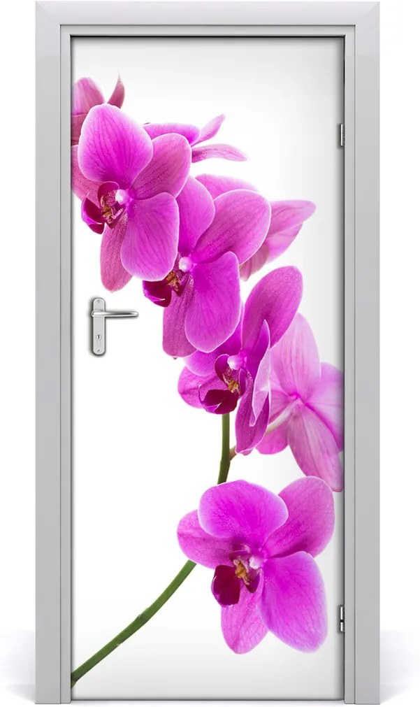Fototapeta samolepiace  ružová orchidea