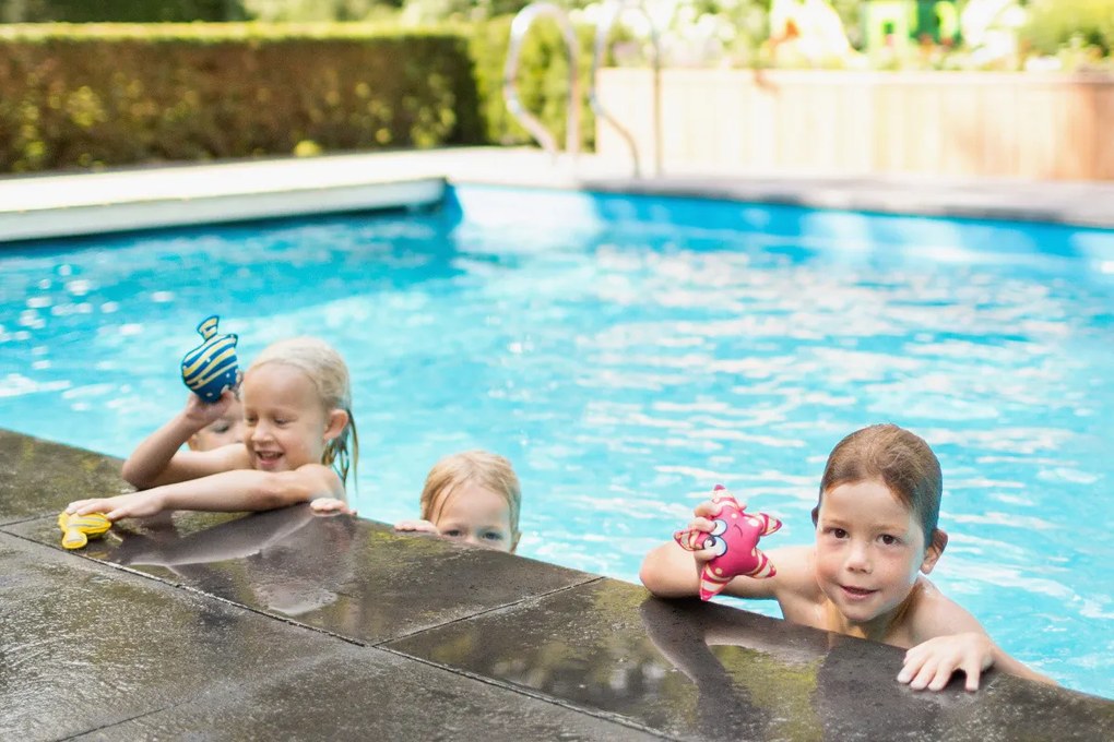 Morské zvieratá pre malých potápačov - hra do vody - 3 ks