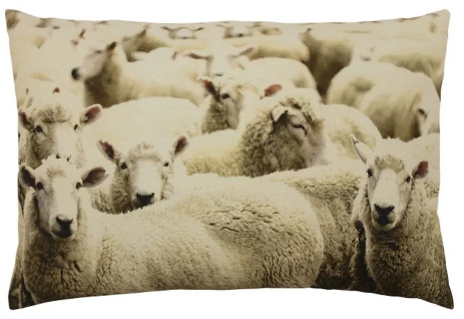 Bavlnený vankúš Ovce 40x60 cm - 60*10*40cm
