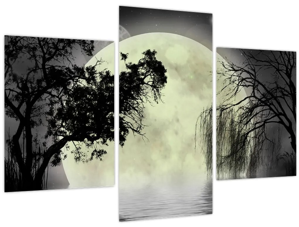 Obraz - Spln nad hladinou, čiernobiely variant (90x60 cm)