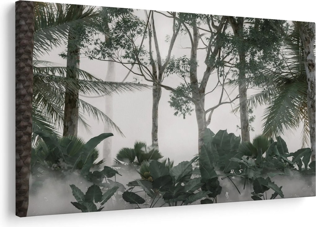 Obraz - Jungle v rannej hmle (90x60 cm)