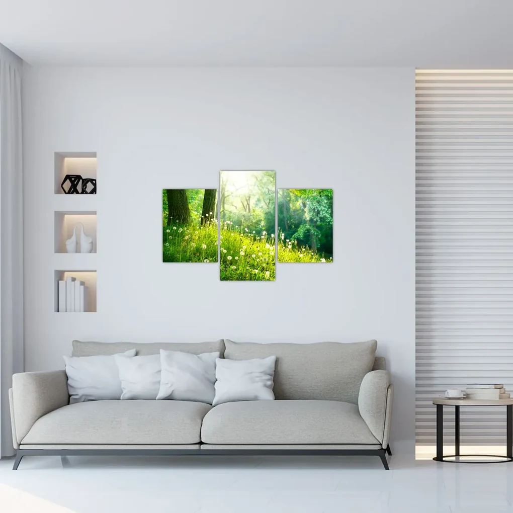 Obraz - Magická lúka plná púpav (90x60 cm)