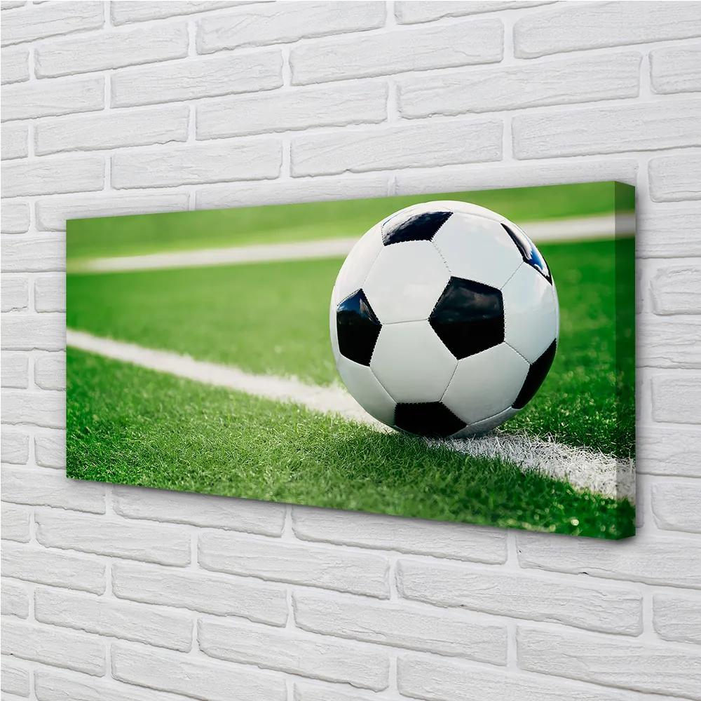 Obraz canvas futbalový trávnik 120x60 cm
