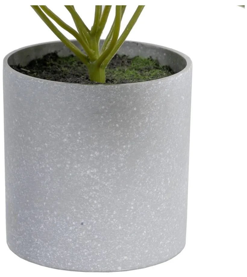 Umelá rastlina (výška 21 cm) Syngonium – Ixia