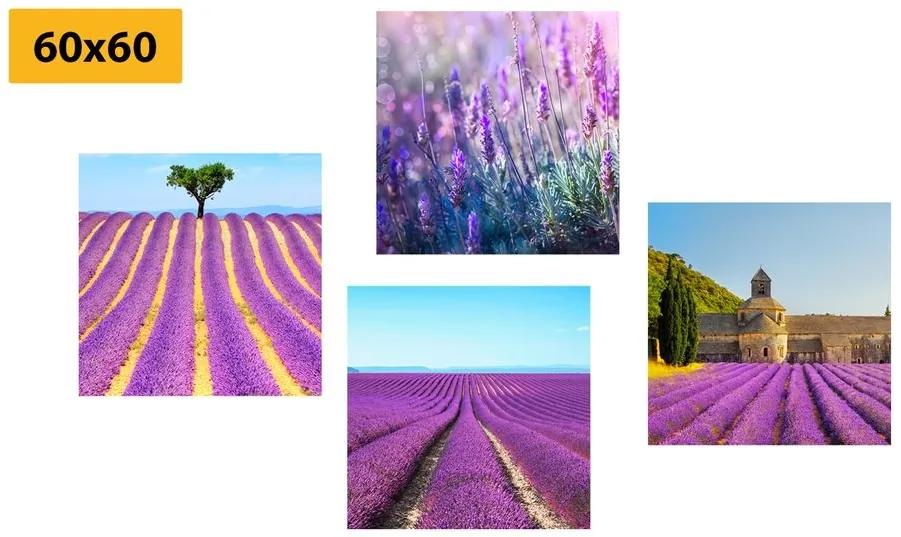 Set obrazov levanduľové pole - 4x 60x60