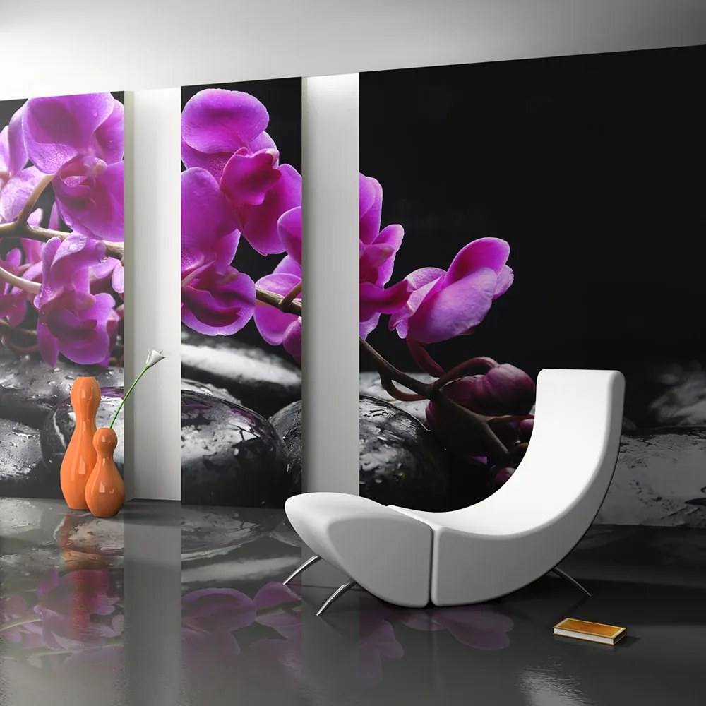 Fototapeta Bimago - Relaxační moment: orchidej kvet a kameny + lepidlo zadarmo 450x270  cm