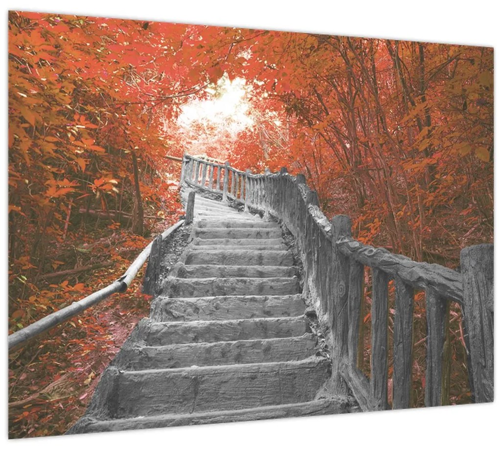 Sklenený obraz - Schody v prírode, oranžová (70x50 cm)