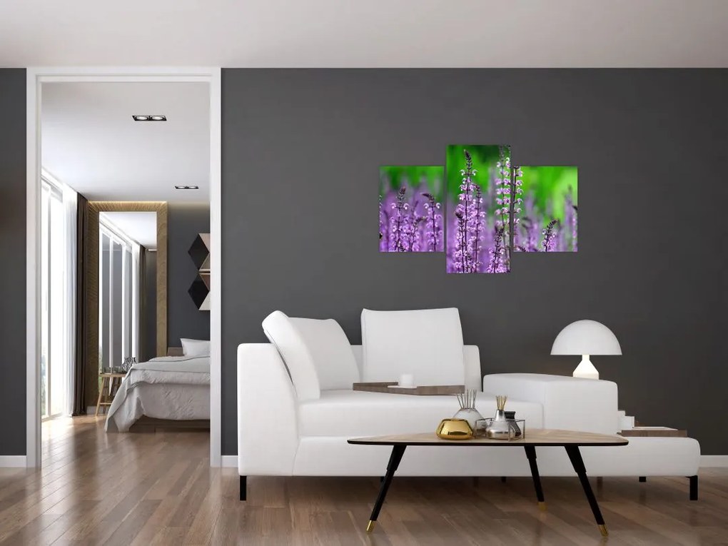 Obraz fialových lúčnych kvetov (90x60 cm)
