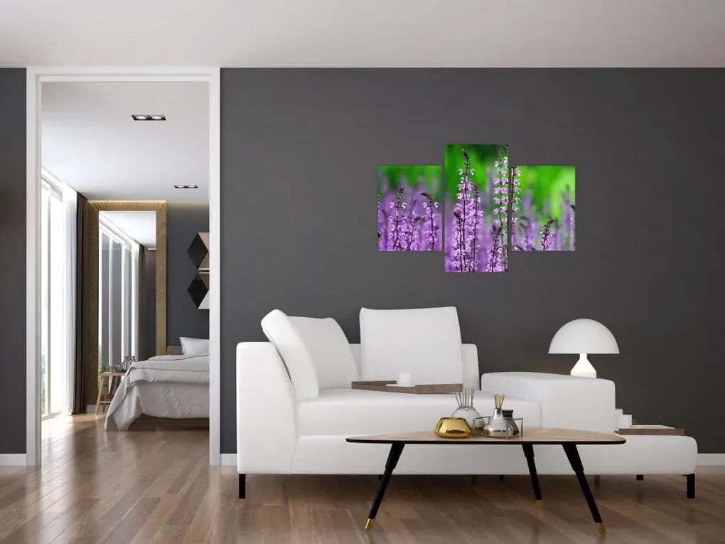 Obraz fialových lúčnych kvetov (90x60 cm)