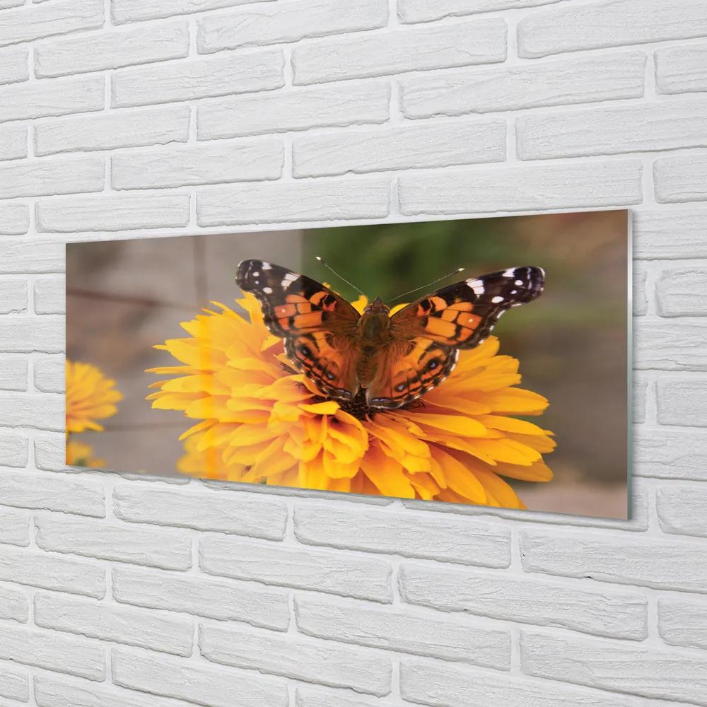 Obraz na akrylátovom skle Farebný motýľ kvetina 120x60 cm