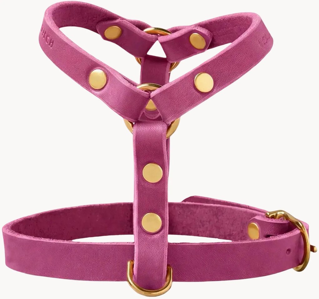 Kožený postroj pre psa Y-Harness, rôzne veľkosti