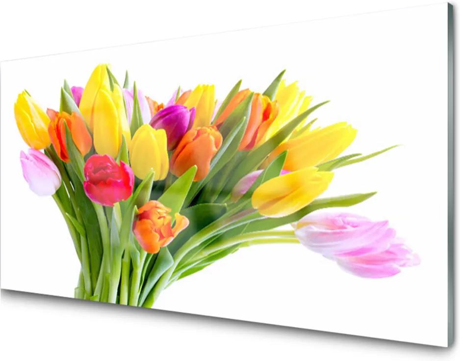 Obraz plexi Tulipány Kvety Rastlina