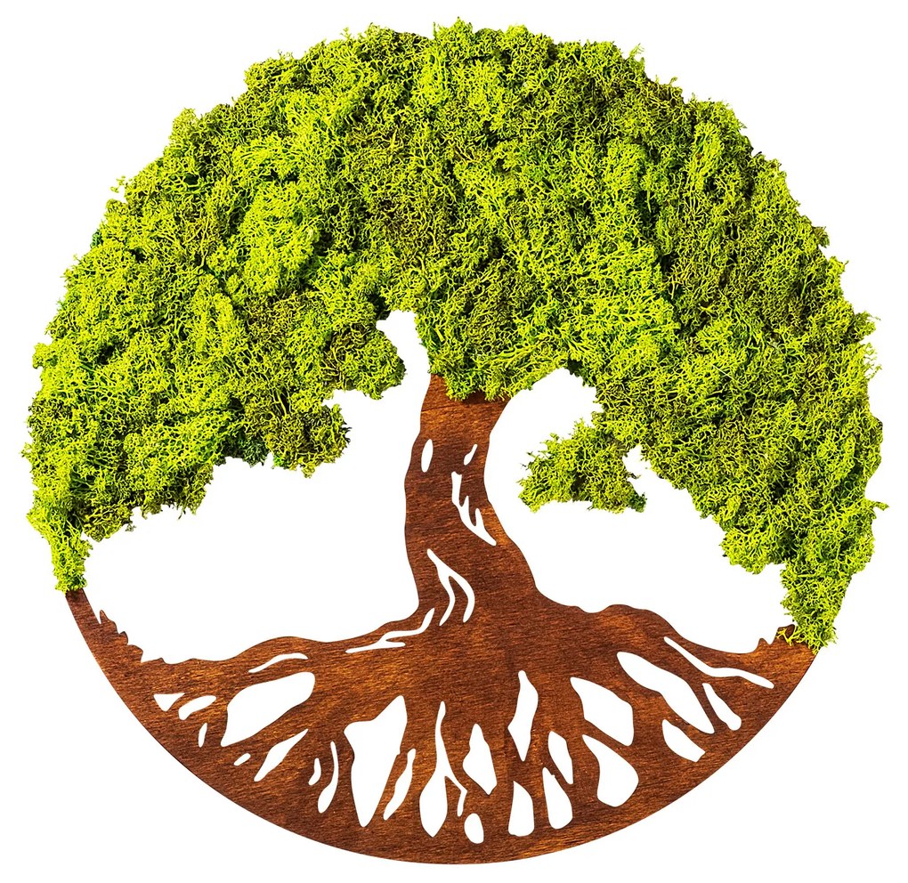 Tree Of Life 3