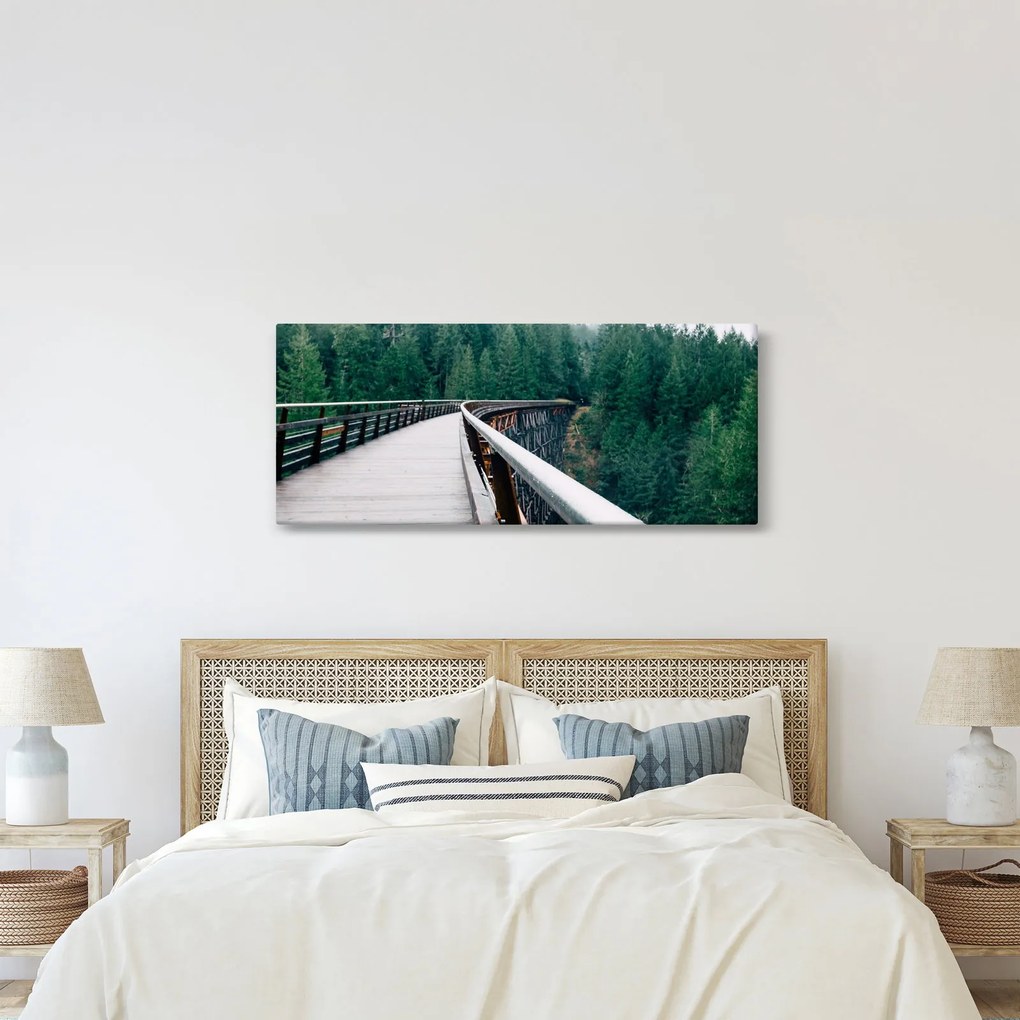 Obraz - Most k vrcholkom stromov (120x50 cm)
