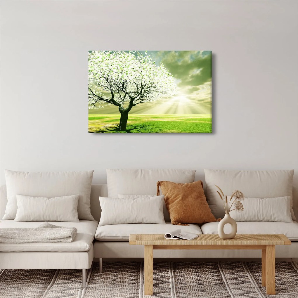 Obraz stromu na lúke (90x60 cm)