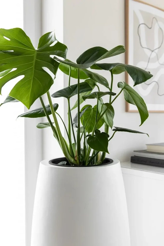 Kvetináč MAGNUM, sklolaminát, výška 80 cm, biely mat