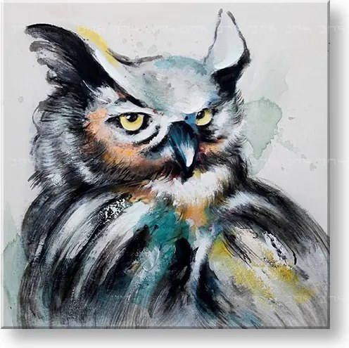 Maľovaný obraz na stenu SOVA 60x60 cm