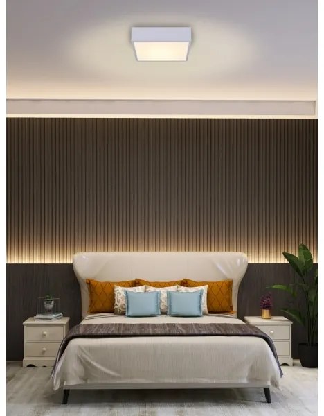 Immax NEO 07238L - LED Stmievateľné stropné svietidlo CANTO 22W/230V biela Tuya +DO