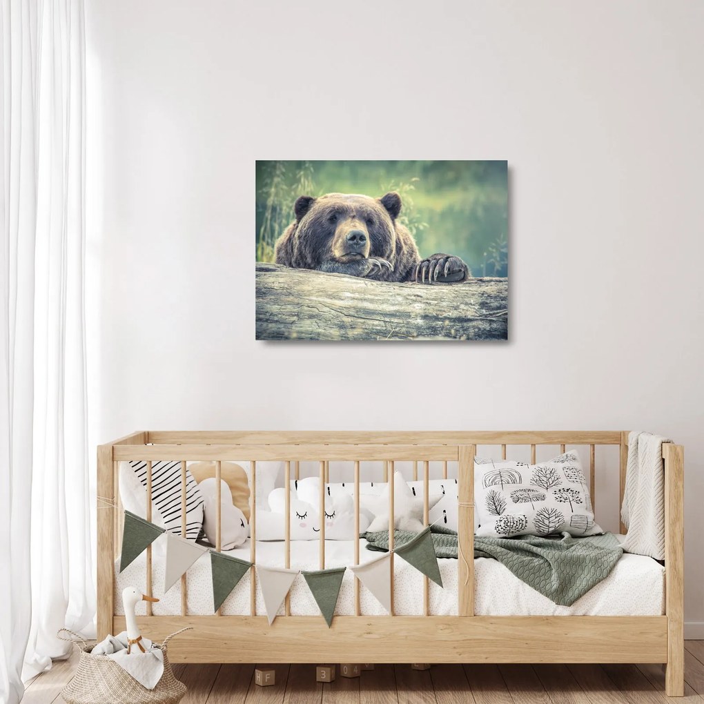 Sklenený obraz medveďa (70x50 cm)
