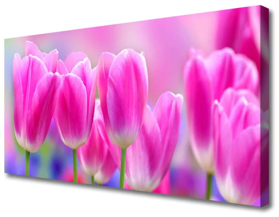 Obraz na plátne Tulipány 100x50 cm