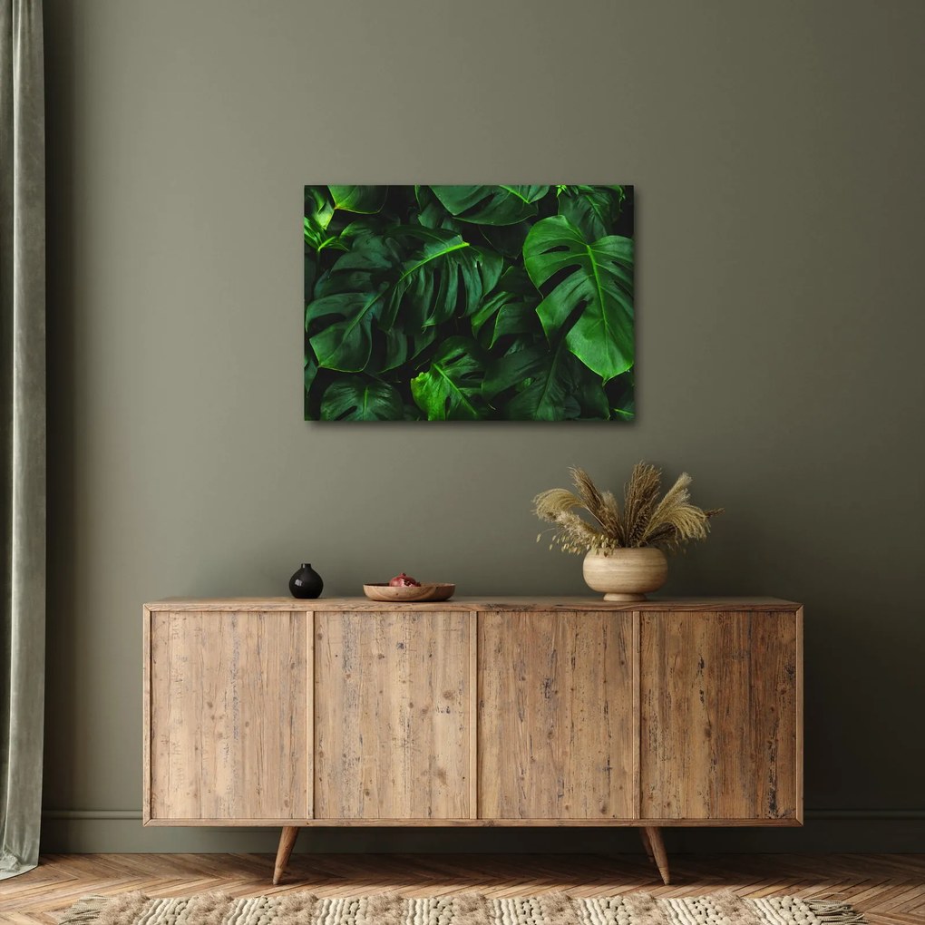 Obraz listov Monstery (70x50 cm)
