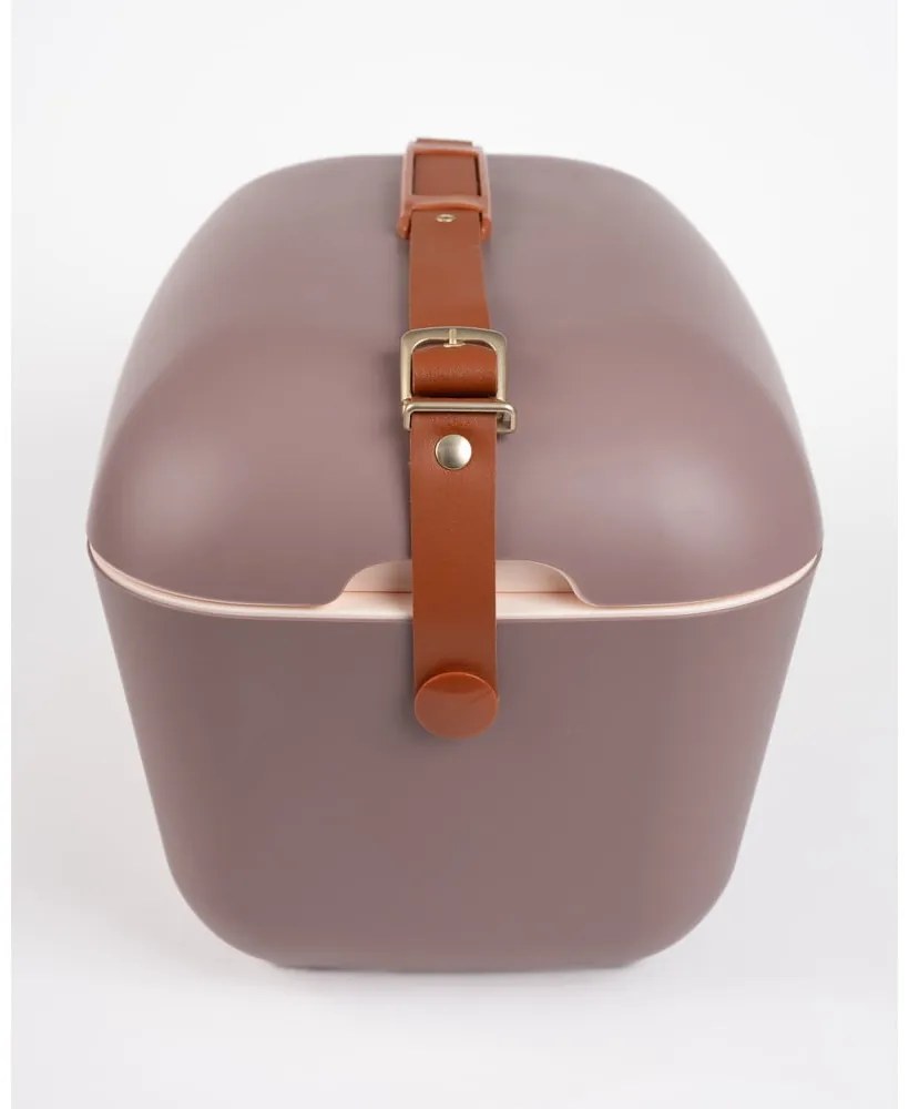 Hnedý chladiaci box 12 l Classic Gold – Polarbox