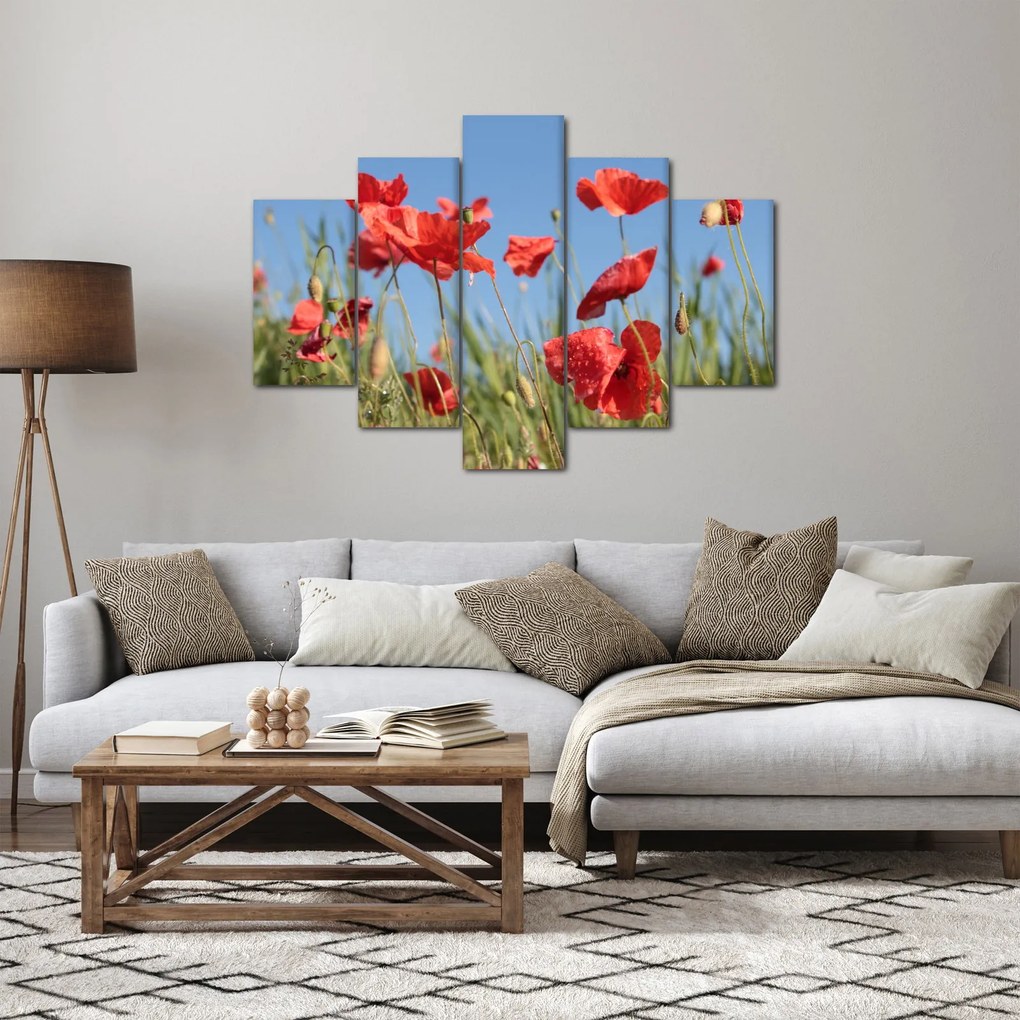 Obraz - Vlčie maky (150x105 cm)