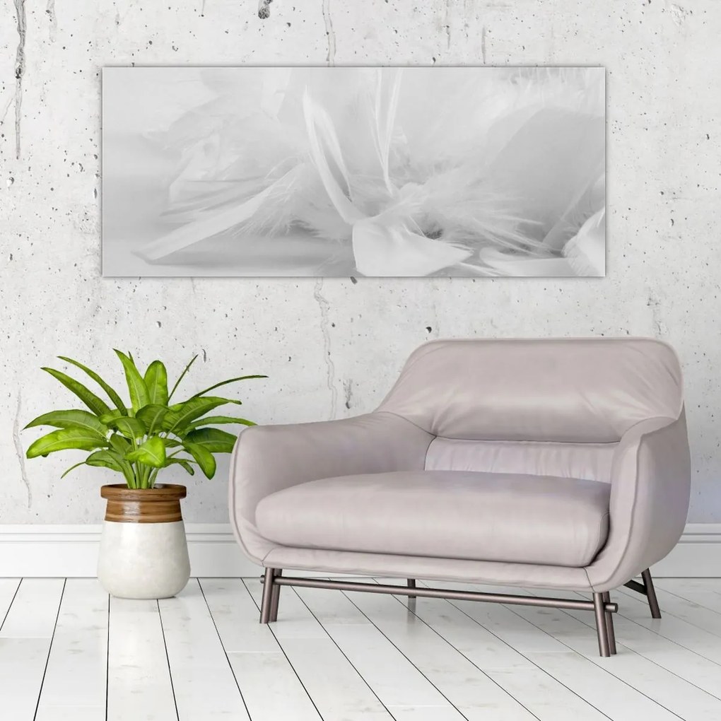 Obraz - Perie (120x50 cm)