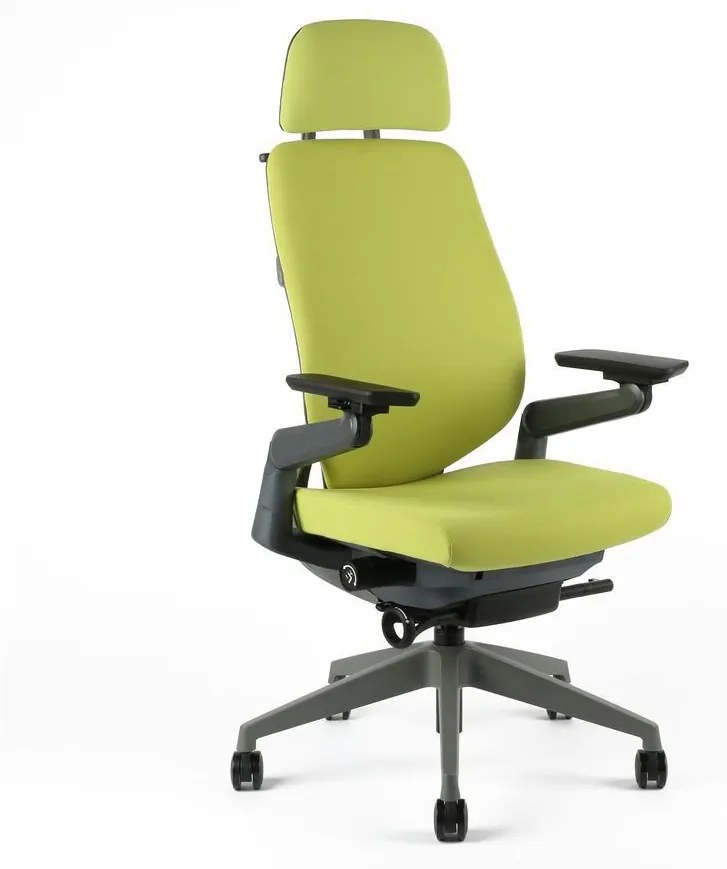 Kancelárska ergonomická stolička Office Pro KARME — viac farieb, s podhlavníkom a podrúčkami Zelená F01